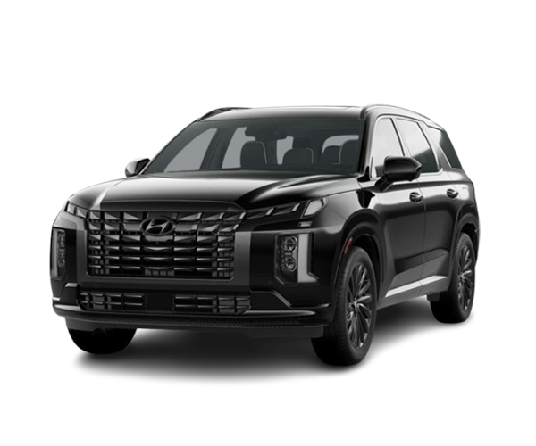 Mobil-Fizzy-Rentcar_0014_15-Palisade